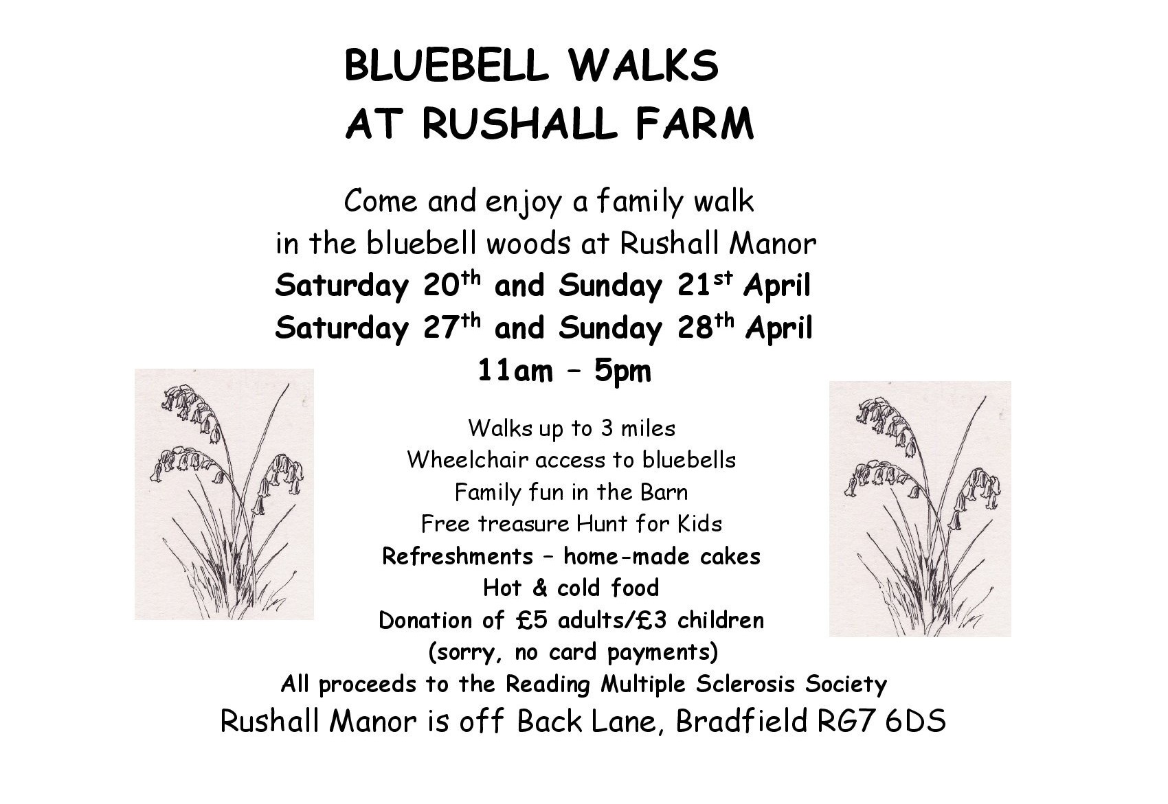 Bluebell Walks at Rushall Farm